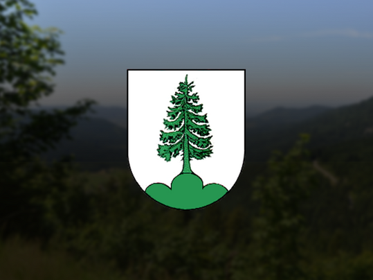 Nationalparkregion Schwarzwald GmbH – Jahresabschlüsse 2020 und 2021