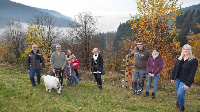 Weidezaunprojekte in Seebach umgesetzt