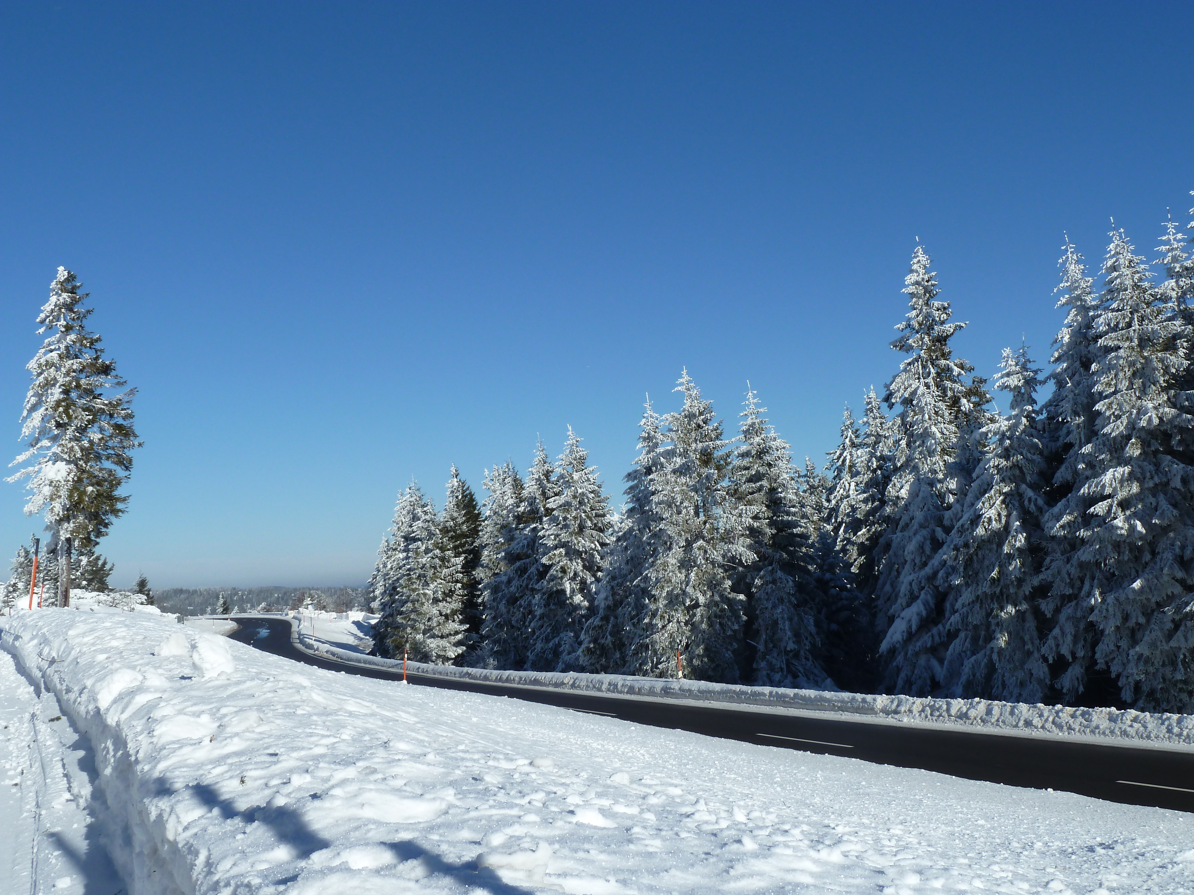                                                     Schwarzwaldhochstraße im Winter                                    